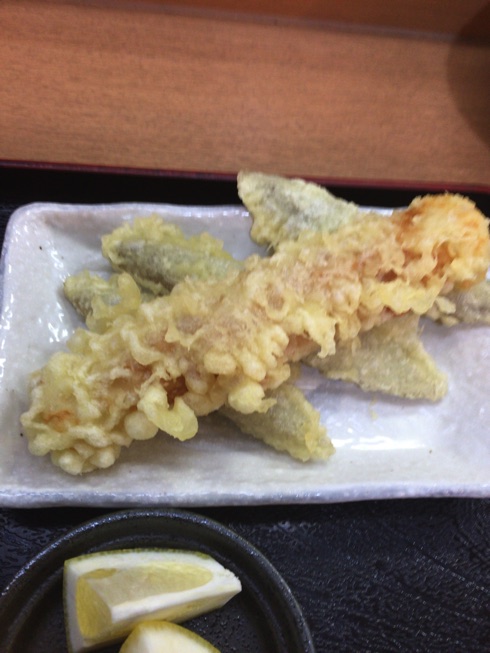 IMG_6137.jpg IMG 6137
