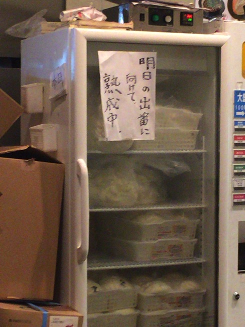 IMG_6650.jpg IMG 6650