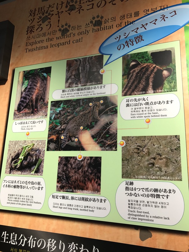 IMG_8613.jpg IMG 8613
