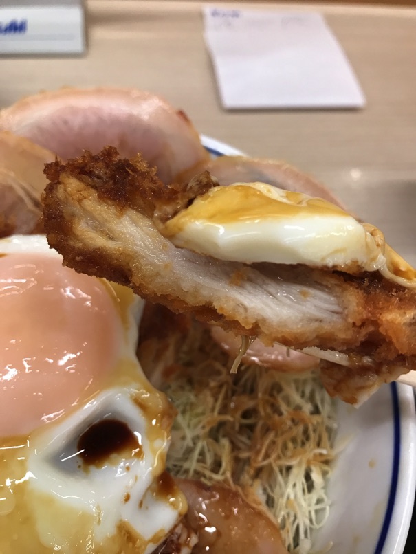katsuya_egg_chr8.jpg Katsuya egg chr8