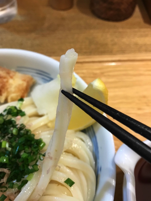 shinari_22.jpg Shinari 22