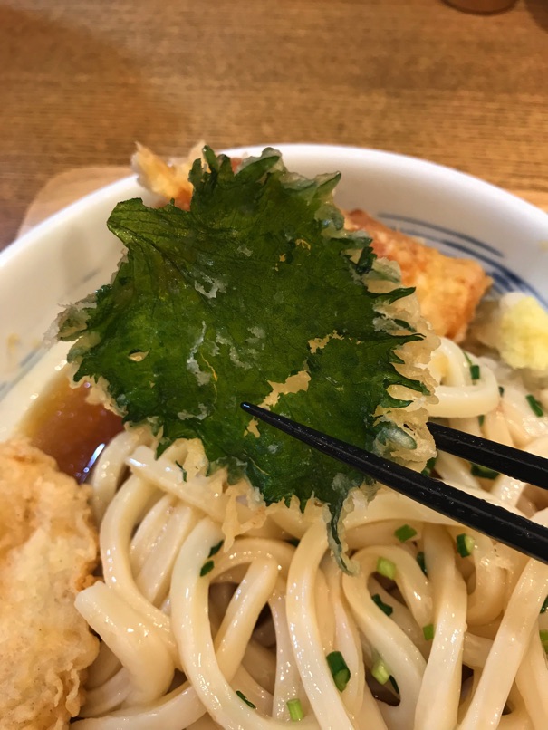 shinari_29.jpg Shinari 29
