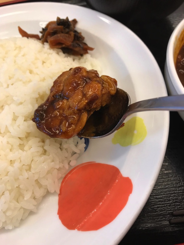 Matsuya chickencurry 9