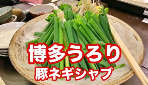 【博多うろり】女将コンビが創る野菜居酒屋 名物「豚ネギしゃぶ」「うろりサラダ」で新鮮野菜の美味さを知る！