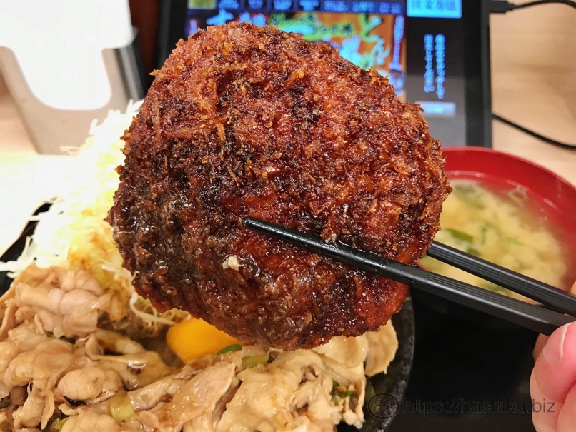 Sutadon tonkatsu 11