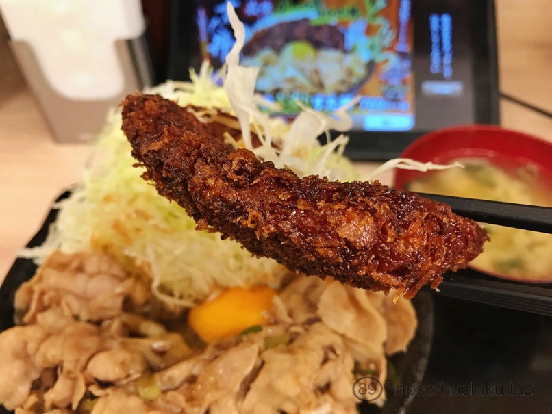 Sutadon tonkatsu 12