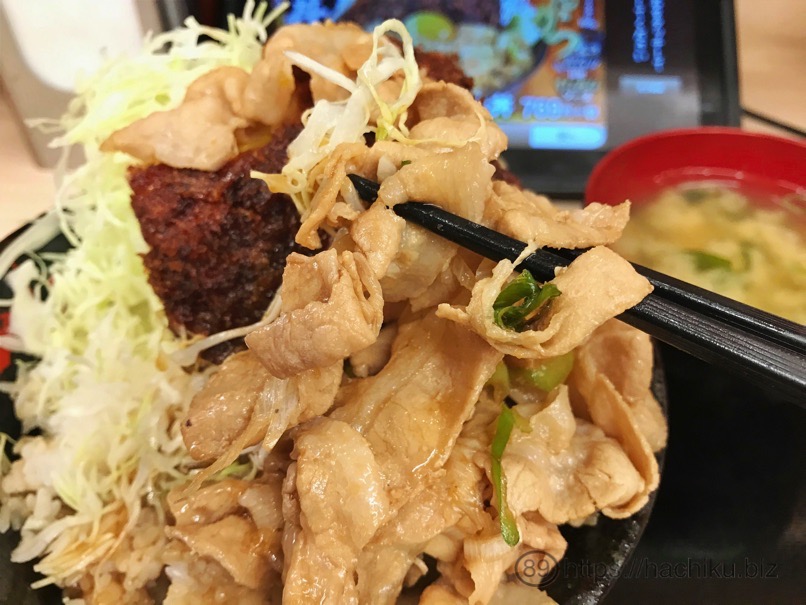Sutadon tonkatsu 15