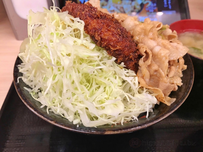 Sutadon tonkatsu 7