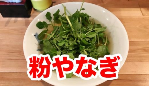 【粉やなぎ】名物「クレソンうどん」を食す。半透明の平麺うどんはツルツル美味や！