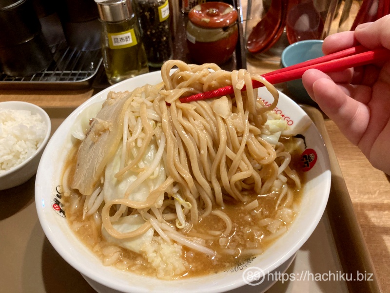 fujiyama55_tjin_jiro_12.JPG Fujiyama55 tjin jiro 12